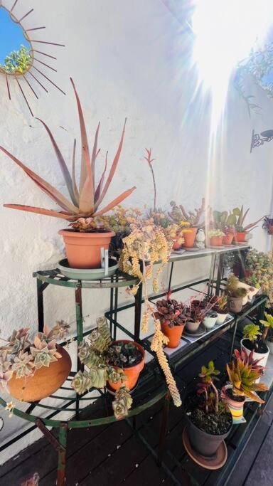 Le Jardin Du Roucas Lägenhet Marseille Exteriör bild